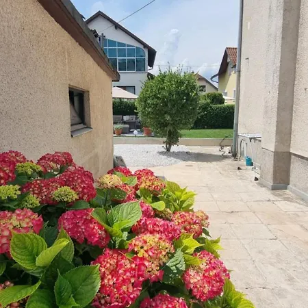 Privat House Lena With Garden&free Parking בית נופש לובליאנה